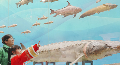 重庆:博物馆里度假期