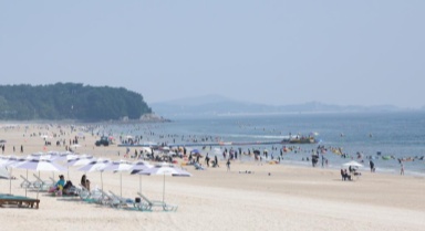 韩国兴起海滩“淘金”热