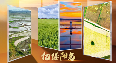 亿缕阳光·乡见|藏在农田里的浪漫