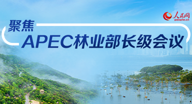 增强亚太森林韧性 共享全民生态福祉