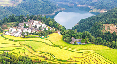 贵州黔西:梯田泛黄秋意浓