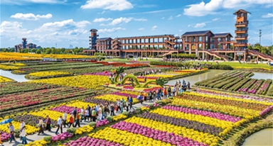 乡村游点亮文旅市场