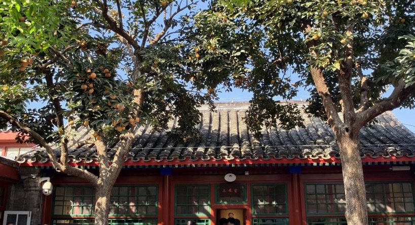 北京“丹柿小院”秋色引游人